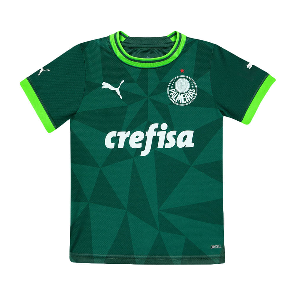 Kit Futebol (Palmeiras)  Futebol palmeiras, Kit palmeiras, Palmeiras